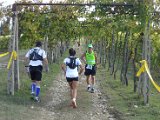 Chianti-1 2016 - 075.jpg